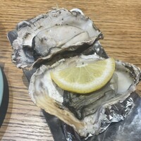 Seafood bar Ermitage 横浜鶴屋町店 - 