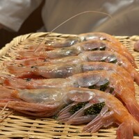 恵比寿 鮨 ふじまさ - 