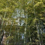 なんじゃもんじゃカフェ - 