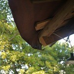 なんじゃもんじゃカフェ - 