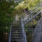 なんじゃもんじゃカフェ - 