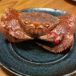 郷土料理 おが - 