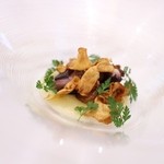 クイントカント - タコ☆