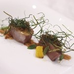 クイントカント - カツオ☆