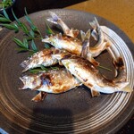 鮎や - 追加子持ち鮎塩焼き