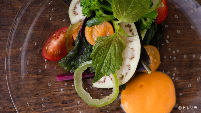 SHOTOEN（ショウトウエン） - 山形（創作料理）の写真