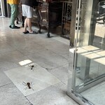 第四信用合作社 - 