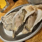 FAST OYSTERS - 