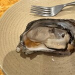 FAST OYSTERS - 