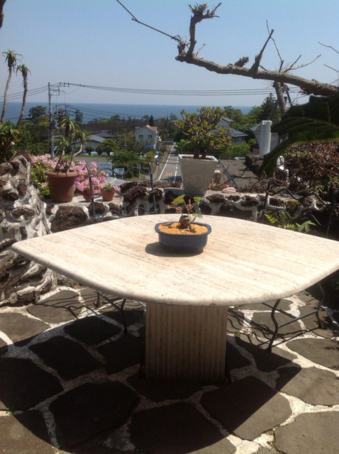 ガーデンカフェドットコム Garden Cafe Com 城ケ崎海岸 カフェ ネット予約可 食べログ ガーデンカフェドットコム Garden Cafe Com 城ケ崎海岸 カフェ ネット予約可 食べログ