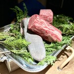 The INNOCENT CARVERY - タン、シャトーブリアン