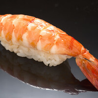 海老・サーモン・かんぱち・さば・まぐろ