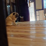 お菓子とくつろぎとこむぎさん - ねぇってば…！