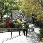 蕎遊庵 - この階段を登る予定だったのですが（笑）