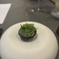 セリュー - 