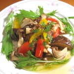 イタリアンカジュアルダイニング何駄感駄 - 木ノ子ソティー