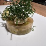SCALAE - ・ネギの緑のところを揚げて
      ・エシャロットをお酢で煮詰めて、そこにバターを加えポマード状にしたソース
      ・賀茂ネギの白く甘いところだけで作ったテリーヌ（ライムを香らせて）