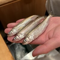 鮨の与志喜 - 