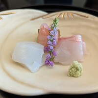 名古屋 浅田 - 御造り
