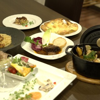 ノヴィータファルファローネ_0