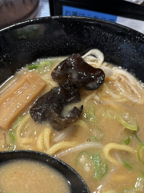 麺屋 長門 - 津軽五所川原（ラーメン）の写真