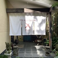 エルルカン・ビス - 