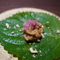 川端志史 - 