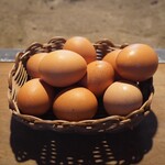 とり料理 瀬戸 - 