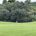 青島ゴルフ倶楽部 - 