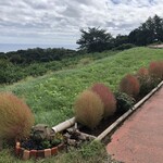 一夜城 ヨロイヅカ・ファーム - 