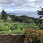 一夜城 ヨロイヅカ・ファーム - 