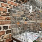 イノダコーヒ - 