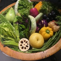 レフェルヴェソンス - 