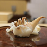 右江田 - スミイカゲソ