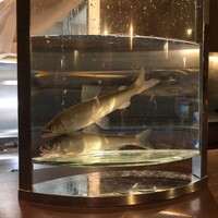 日本料理 会席小久保 - 