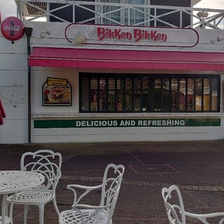 ビッケンビッケン_2