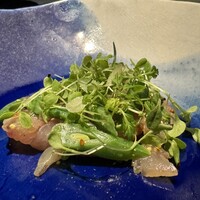 セルサルサーレ - 