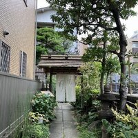 古月 - 
