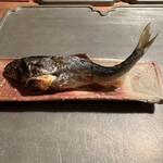 徳ㇵ本也 - 子持ち鮎の炭火焼き