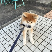 鮨 くまくら - 