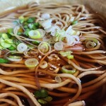 蕎麦料理 すみや - アップ
