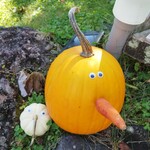 TINY GARDEN - 料理写真:ハロウィン？可愛い〜♥