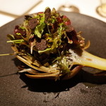 ライラ - 6.アーティチョークを器に見立てたサラダ 2014.4.2x