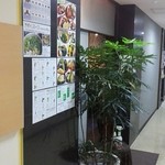 カリー・ディ・サヴォイ - 