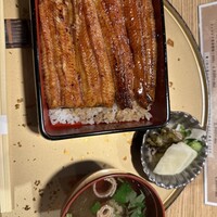 うなぎ 目白ぞろ芽 - 