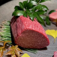 USHIGORO S. SHINJUKU - 