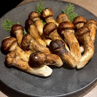 USHIGORO S. SHINJUKU - 