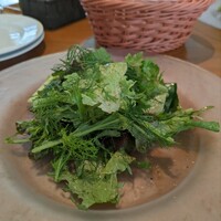 PASTA HOUSE AWkitchen FARM 多摩センター店 - 「ランチサラダ」　いろいろなハーブが入ってる