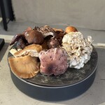 MANO - タマゴタケ、ナラタケ、ウスムラサキホウキタケ、ハナビラタケ、サクラシメジ、ショウゲンジ、カワムラフウセンタケ、コウタケ、チチタケ、シャカシメジ