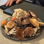 MANO - タマゴタケ、ナラタケ、ウスムラサキホウキタケ、ハナビラタケ、サクラシメジ、ショウゲンジ、カワムラフウセンタケ、コウタケ、チチタケ、シャカシメジ